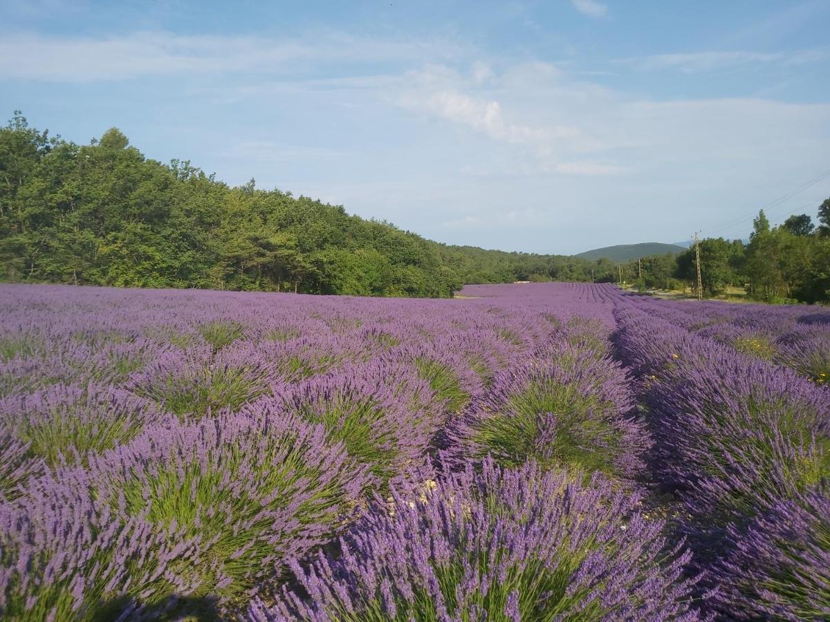 Les Theolats